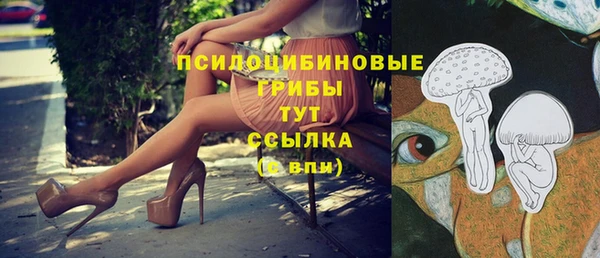 тгк Баксан