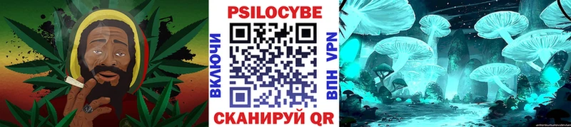 Псилоцибиновые грибы Psilocybe  где найти наркотики  Покровск 